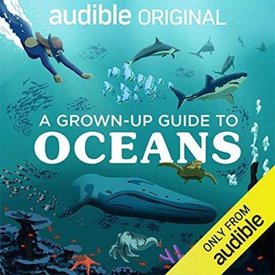 A Grown Up Guide to Oceans (Audiobook)