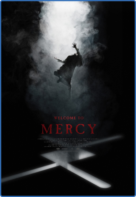 Welcome To Mercy 2018 1080p BluRay x265-RARBG