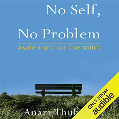 No Self, No Problem: Awakening to Our True Nature [Audiobook]
