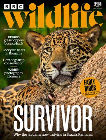 BBC Wildlife Magazine  Spring 2022