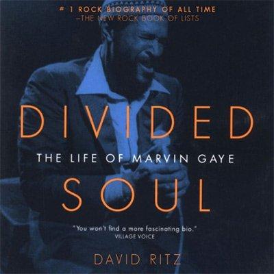 Divided Soul: The Life of Marvin Gaye (Audiobook)