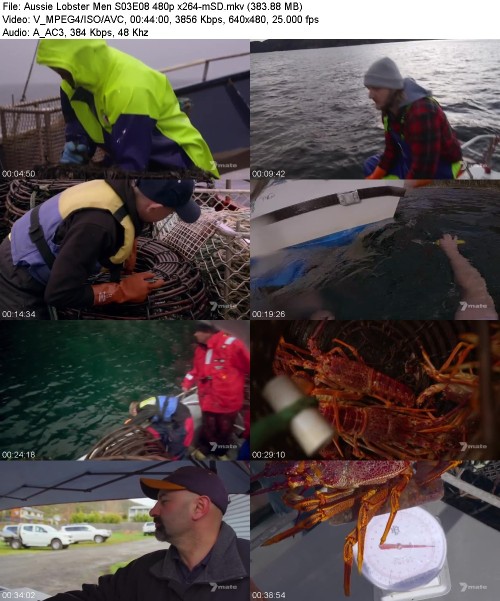 Aussie Lobster Men S03E08 480p x264-[mSD]