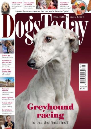 Dogs Today UK   April 2022