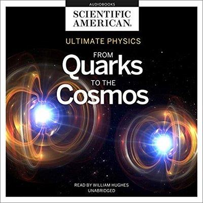 Ultimate Physics: From Quarks to the Cosmos (Audiobook)