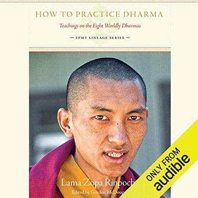 How to Practice Dharma: Teachings on the Eight Worldly Dharmas (Audiobook)