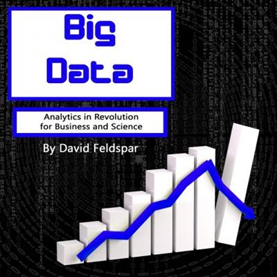 Big Data: Analytics in Revolution for Business and Science [Audiobook]