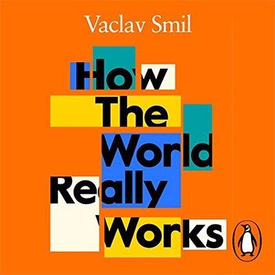 How the World Really Works: The Science Behind How We Got Here and Where We're Going (Audiobook)