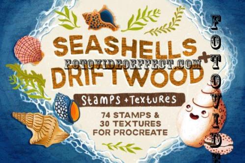 Seashells + Driftwood Procreate Set - 6462824