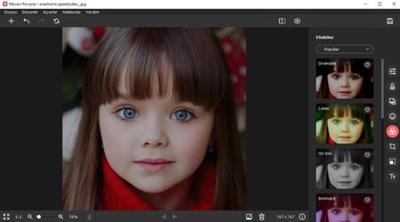 Movavi Picverse 1.8.0 (x64) Multilingual