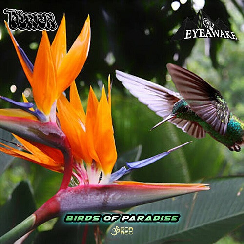 Eyeawake & Turen - Birds of Paradise (Single) (2022)