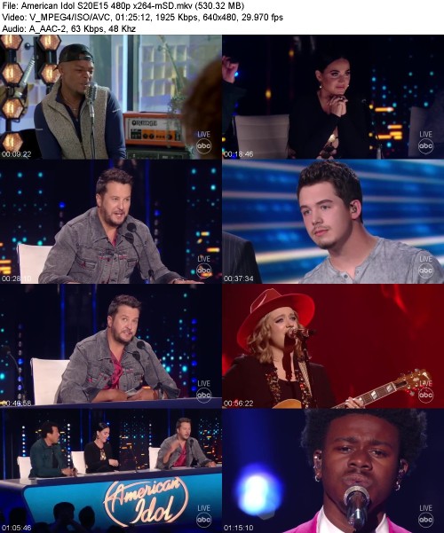 American Idol S20E15 480p x264-[mSD]