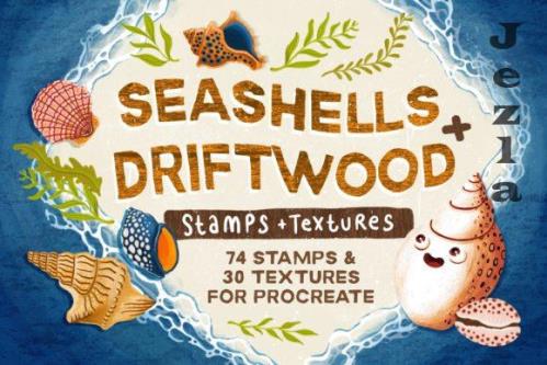 Seashells + Driftwood Procreate Set - 6462824 Seashells + Driftwood Procreate Set - 6462824