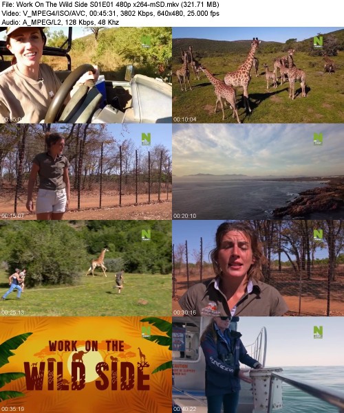 Work On The Wild Side S01E01 480p x264-[mSD]