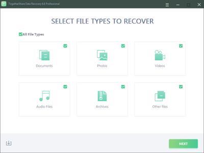 TogetherShare Data Recovery 7.3 Professional / Enterprise / AdvancedPE