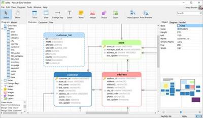 Navicat Data Modeler Premium 3.1.6 (x64)