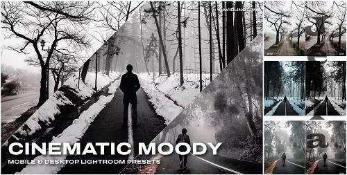 Cinematic Moody Lightroom Presets & LUTs