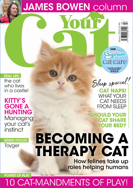 Your Cat - March 2017