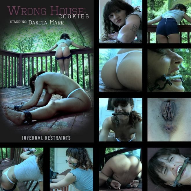 Dakota Marr - Wrong House: Cookies, Dakota tries to sell cookies to the wrong man and pays dearly for it. (2019 | 850x478)