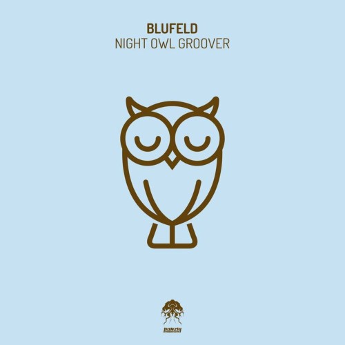 Blufeld - Night Owl Groover (2022)