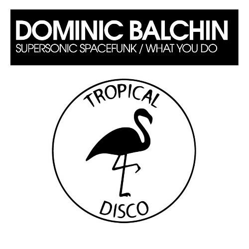 Dominic Balchin - Fabric Presents Leon Vynehall (2022)