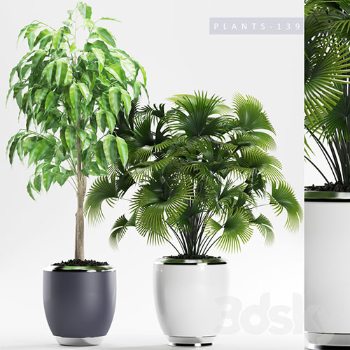 3D Models PLANTS 139