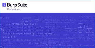Burp Suite Professional 2022.3.6
