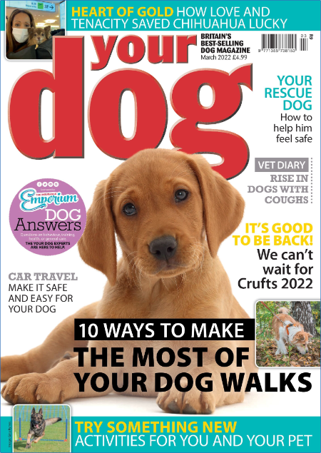 Your Dog - March 2017