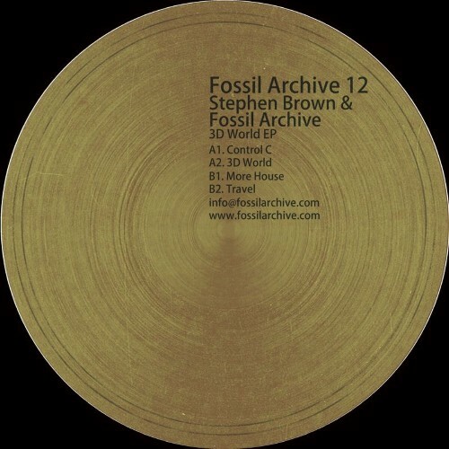 Stephen Brown & Fossil Archive - 3D World EP (2022)