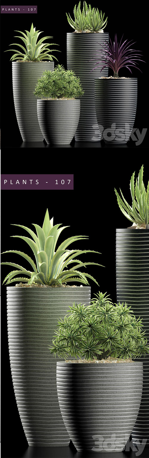 3D Models PLANTS 106