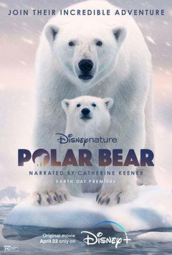   / Polar Bear (2022) WEBRip 1080p