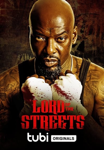 Lord Of The Streets (2022) 720p WEB h264-PFa