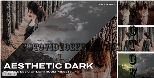 Aesthetic Dark Lightroom Presets & LUTs