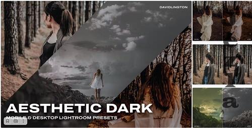 Aesthetic Dark Lightroom Presets & LUTs