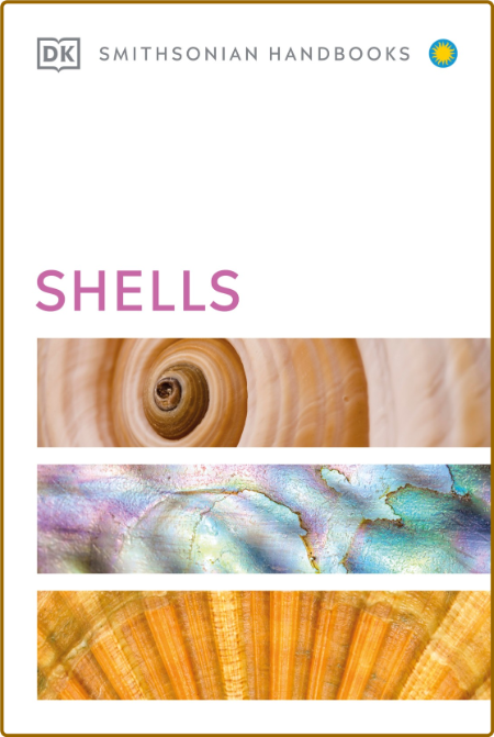 Shells -DK 007f111ad4847e2be7005b1d509d9c07