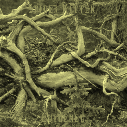 Spider Kitten - Burdened (EP) 2009