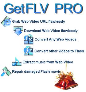 Vdigger GetFLV 30.2204.73 Multilingual Portable