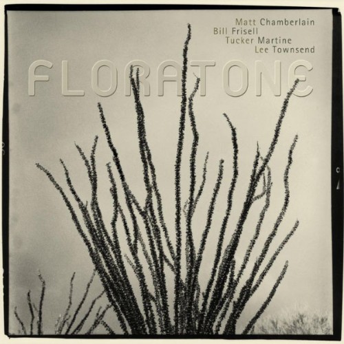 Floratone - Floratone - 2007