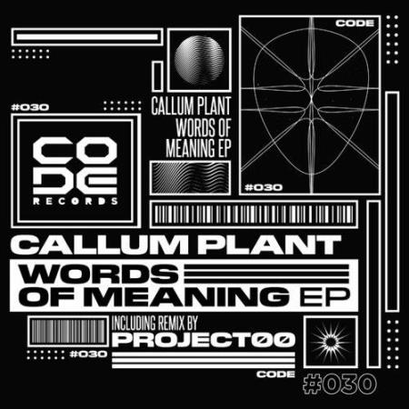 Callum Plant - Words of meaning (2022)