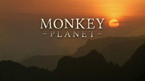 BBC - Monkey Planet (2014)