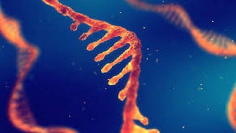 Udemy - Rna Structure Detailed Concept