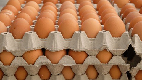 Poultry Farming Layers Chicken (Egg Production)