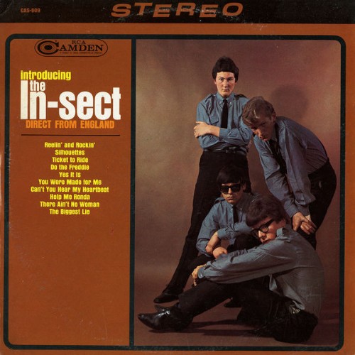 The In-Sect - Introducing The In-Sect Direct from England - 2015
