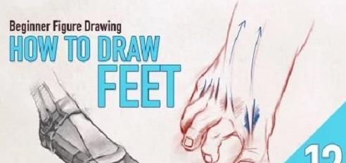 Beginner Figure Drawing – How To Draw Feet