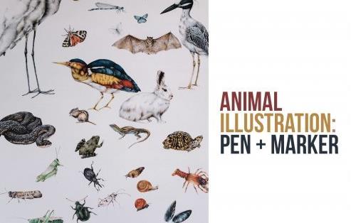 Animal Illustration Pen and Marker