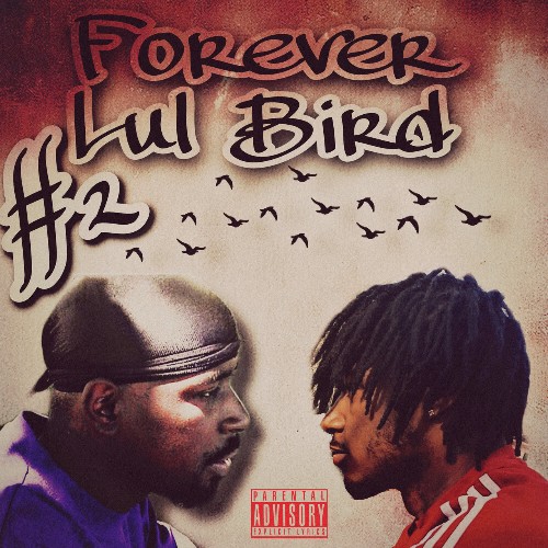 Bird - Forever Bird 2 (2022)