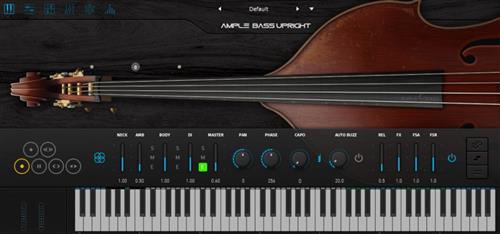 Ample Sound Ample Bass Upright v3.5 WiN macOS