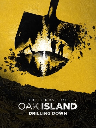 The Curse of Oak Island Drilling Down S09E06 480p x264-[mSD]