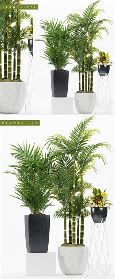 PLANTS 174