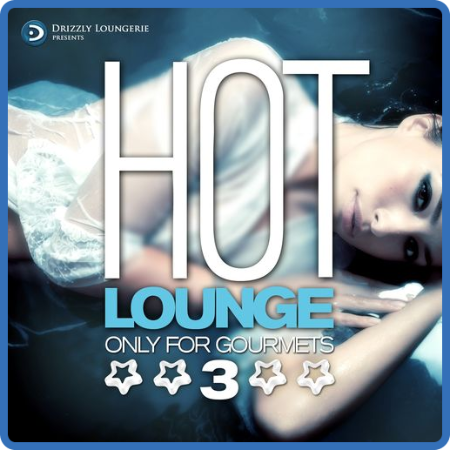 VA - Hot Lounge  Only for Gourmets, Vol 1-4 (2009-2015) MP3