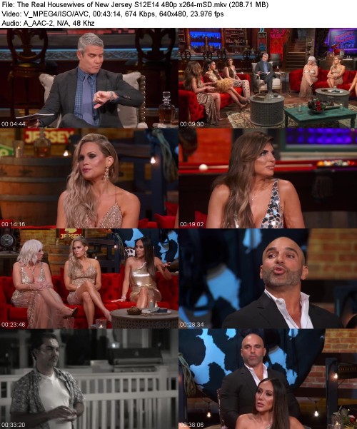 The Real Housewives of New Jersey S12E14 480p x264-[mSD]